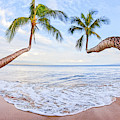 Two Palms